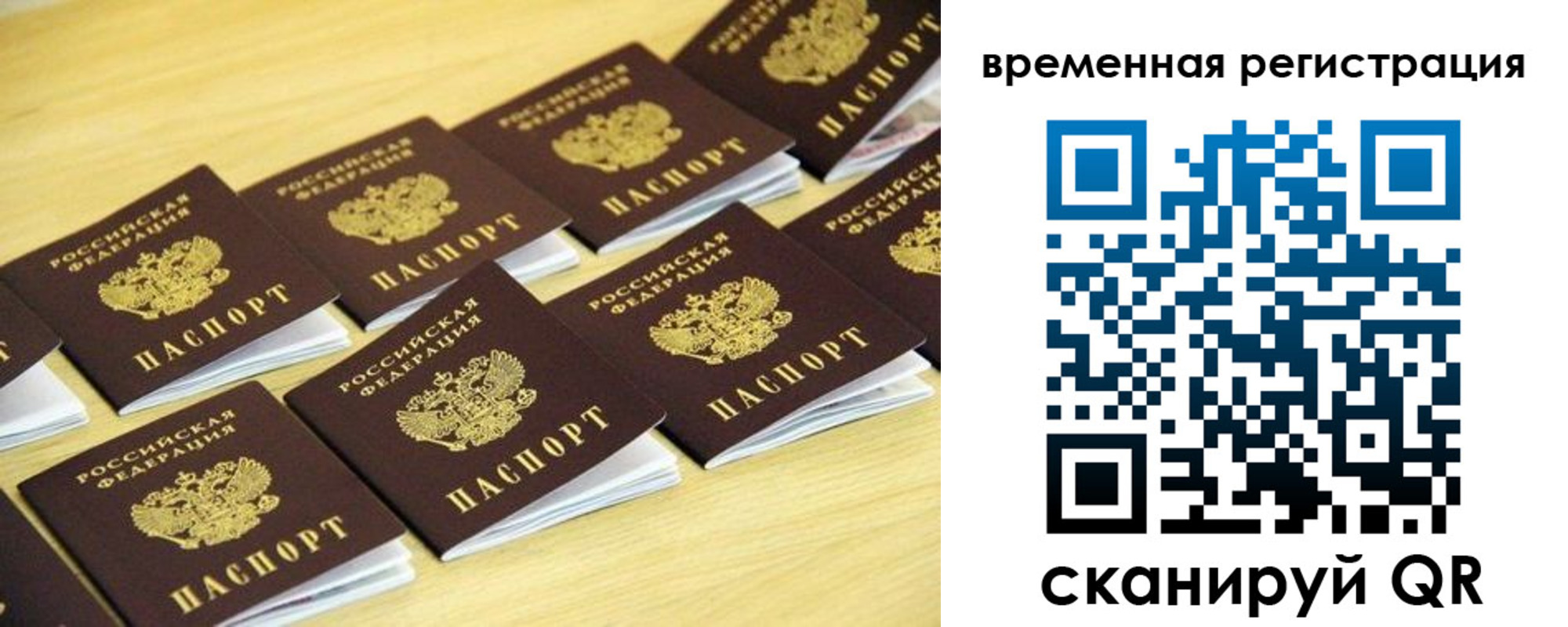 купить прописку в Волосово
